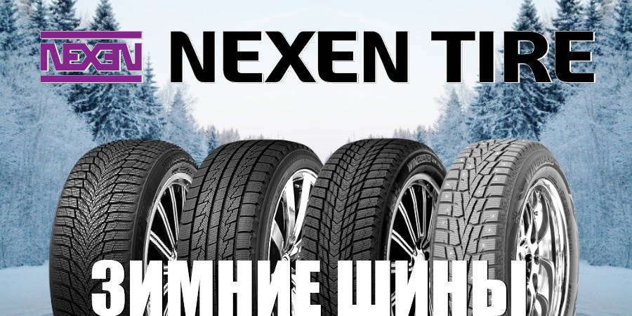 Зимние шины NexeN