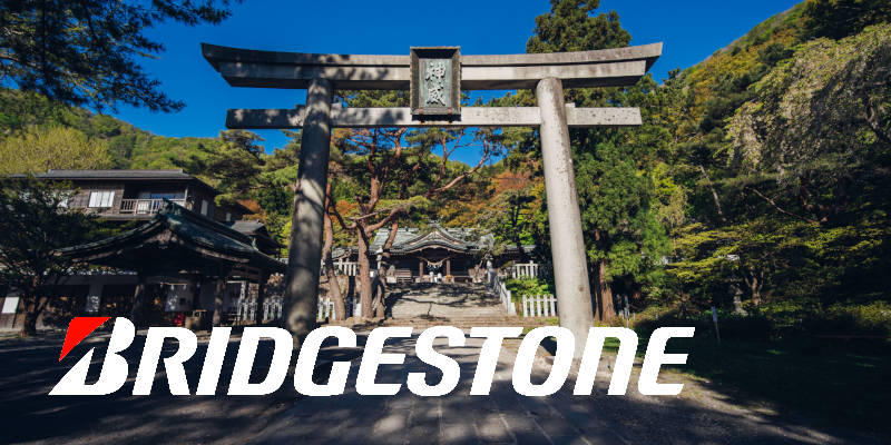 Летние шины Bridgestone