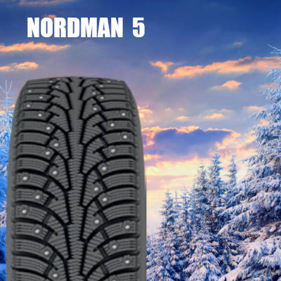 Зимние шины Nokian Nordman 5