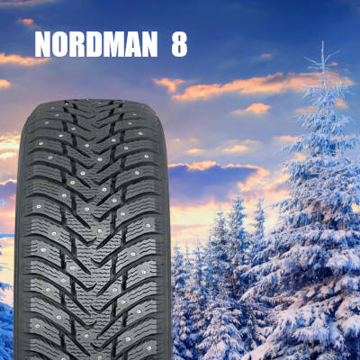 Зимние шины Nokian Nordman 8