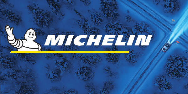 Зимние шины Michelin