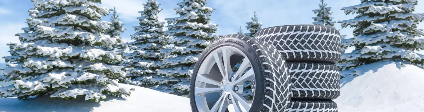 Зимние шины Michelin