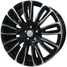 LR-9001 (0020)