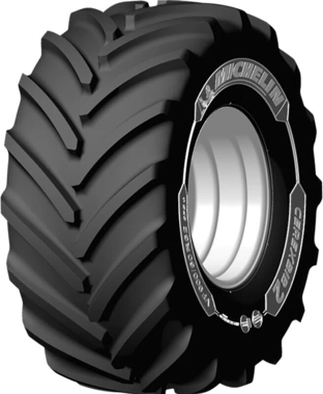 Cerexbib 2 Cfo +